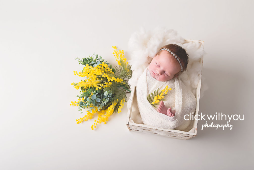 newborn photoshoot brisbane